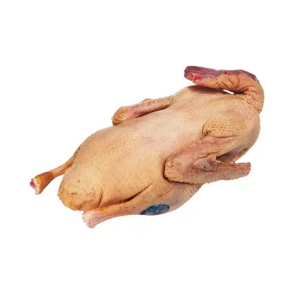 Гуси